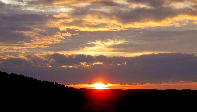 LindaBerman4's tweet photo. Haiku is an art that seems dedicated to making people pay attention to the preciousness and particularity of every moment of existence. I think that poetry can do that.
Robert Hass
#haiku #preciousness #moment #existence https://t.co/m2CWE8Z9de