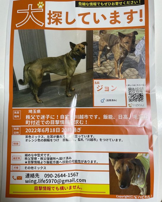 埼玉県の迷い犬一覧 Find My Pet