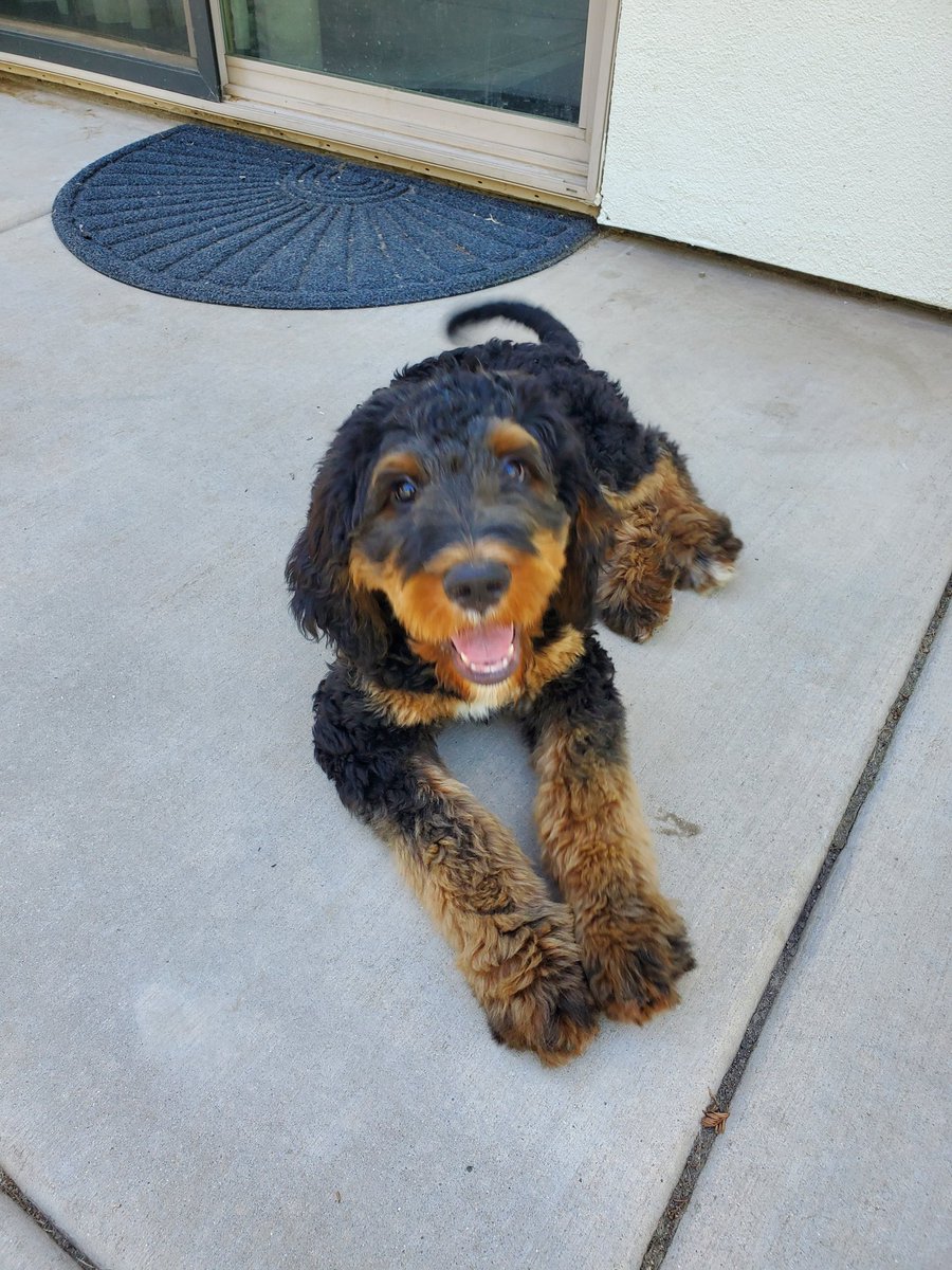 Finished Summer School yesterday, so my summer has officially begun. Angus was helping me plant tomatoes 🍅  and bell peppers and flowers 🌼 today. Happy Saturday!