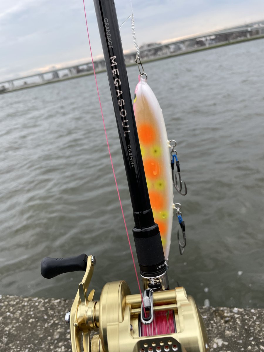 メガソウル62hh-