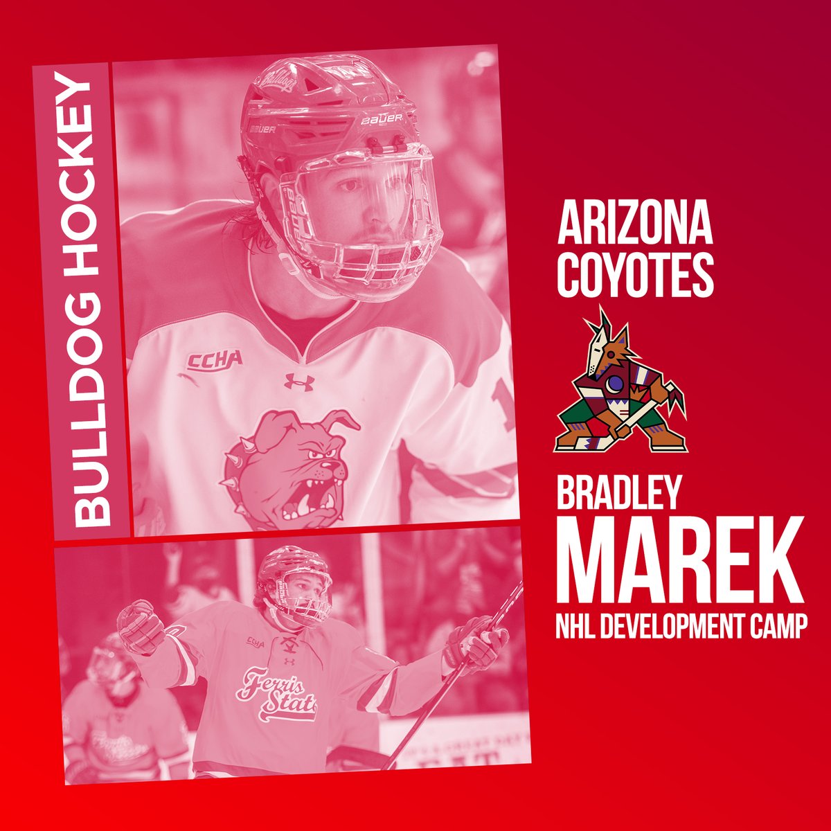 The <a href="/CCHAHockey/">CCHA</a> Rookie of the Year is headed to Development Camp with the Arizona Coyotes!

READ | bit.ly/3nPcwnc
