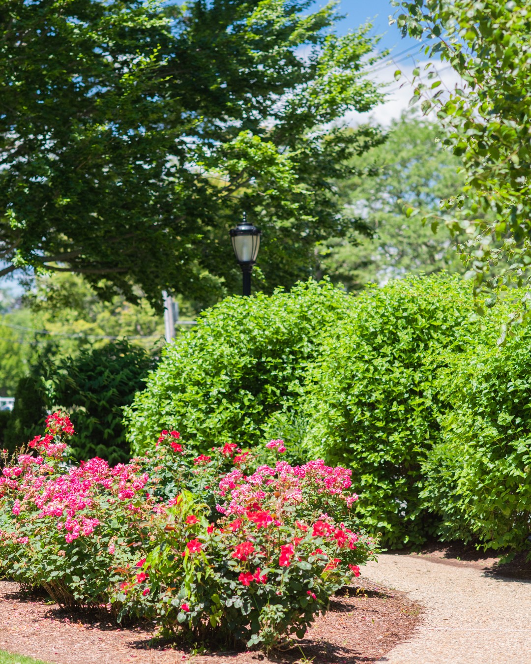 Salve Regina Football (@Salve_Football) / Twitter
