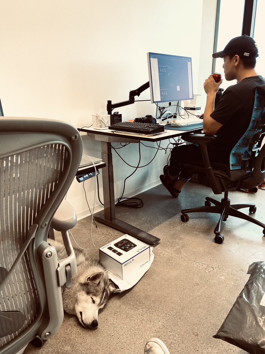 SAMMI tweet media