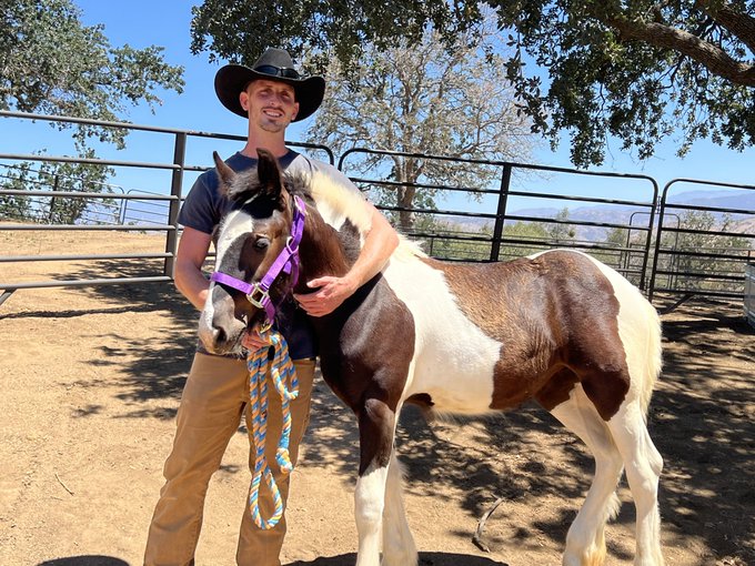 My Girl finally arrived at the Ranch today. Her full paper name is&hellip;  Two Spirits Lady Annabelle.   She<a href="/tag/arabianmare"class="tags"><span>#arabianmare</span></a>