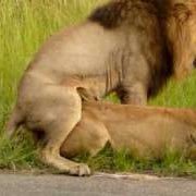 #صورة_ملف_شخصي_جديدة