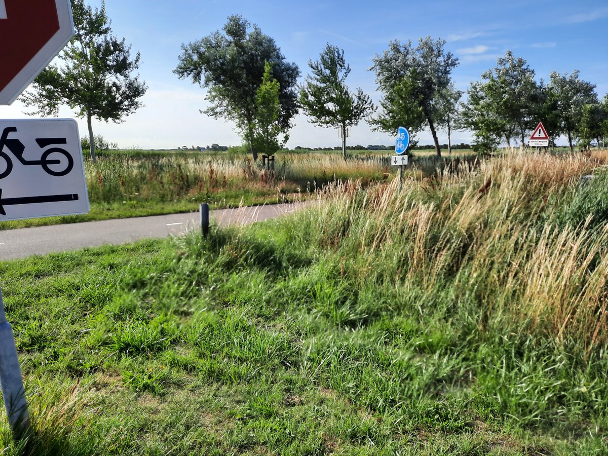 kenlandman's tweet photo. @Rijkswaterstaat kan er op de kruising  paralelweg N57 met de roterij   #burghhaamstede weer gemaaid worden aub? Vandaag weer bijna 2 fietsers aangereden zien worden door hoog gras. https://t.co/gfrVqJRKpf