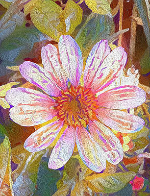 DeborahLeagueFA's tweet photo. AVAILABLE HERE - https://t.co/o6W0sBVS1I
#buyintoart #flowerart #flowers #floralart #digitalpainting #digitalflower #fineartphotography #coneflower #summertime #summervibes #gardeningtwitter https://t.co/iyxawQJQhX