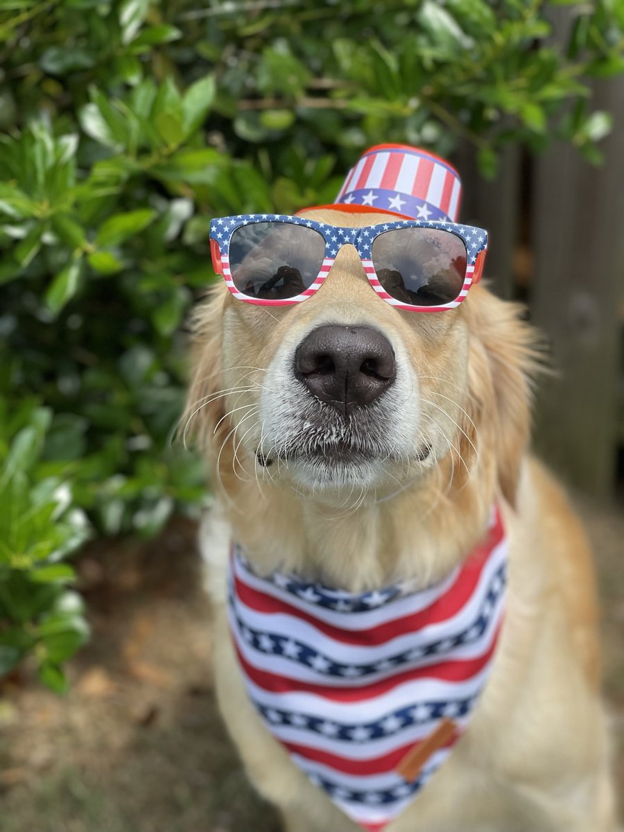 Danielle Sharrett tweet media