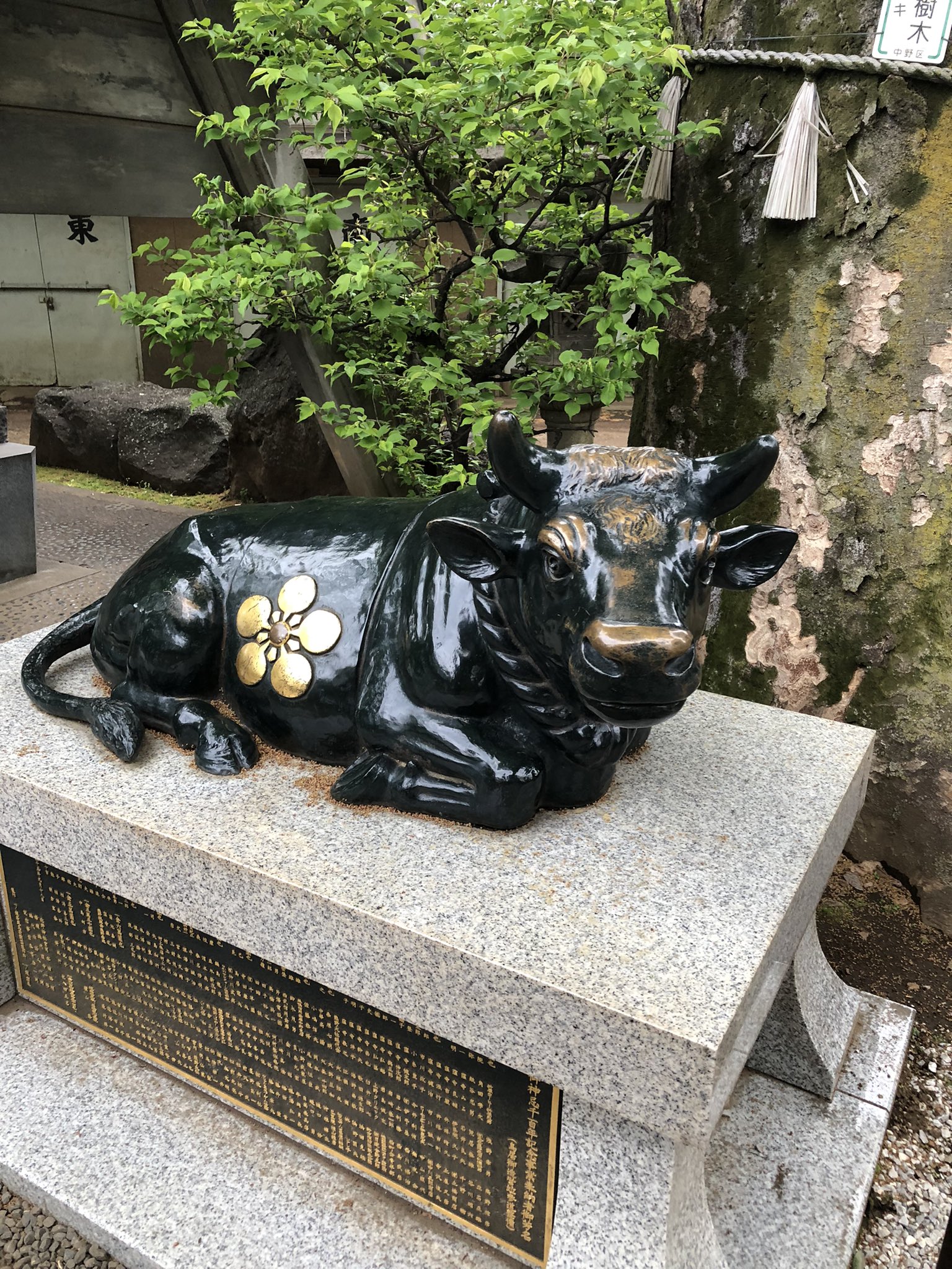 光孝 新井天神北野神社 の撫で牛 さん とても優しい表情で ほっとします 何か見覚えがと思っていたら 我が家の にどこか似ている気がしました T Co Ethayypjk9 Twitter