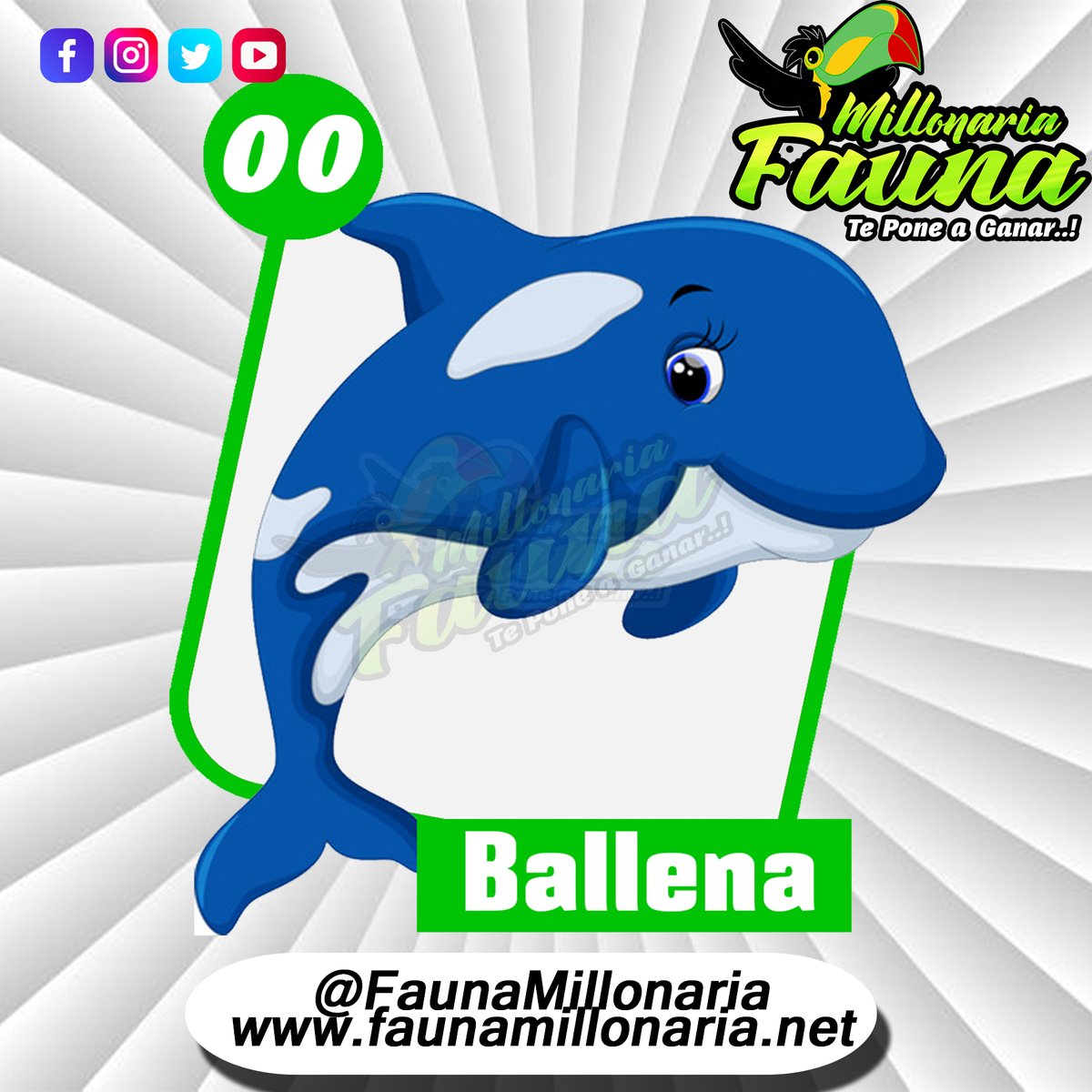 Fauna Millonaria 
Fecha 09/07/2022 
Hora : 6:30 Pm 
00  Ballena
Telegram - t.me/minifauna                    
Web : faunavzla.net