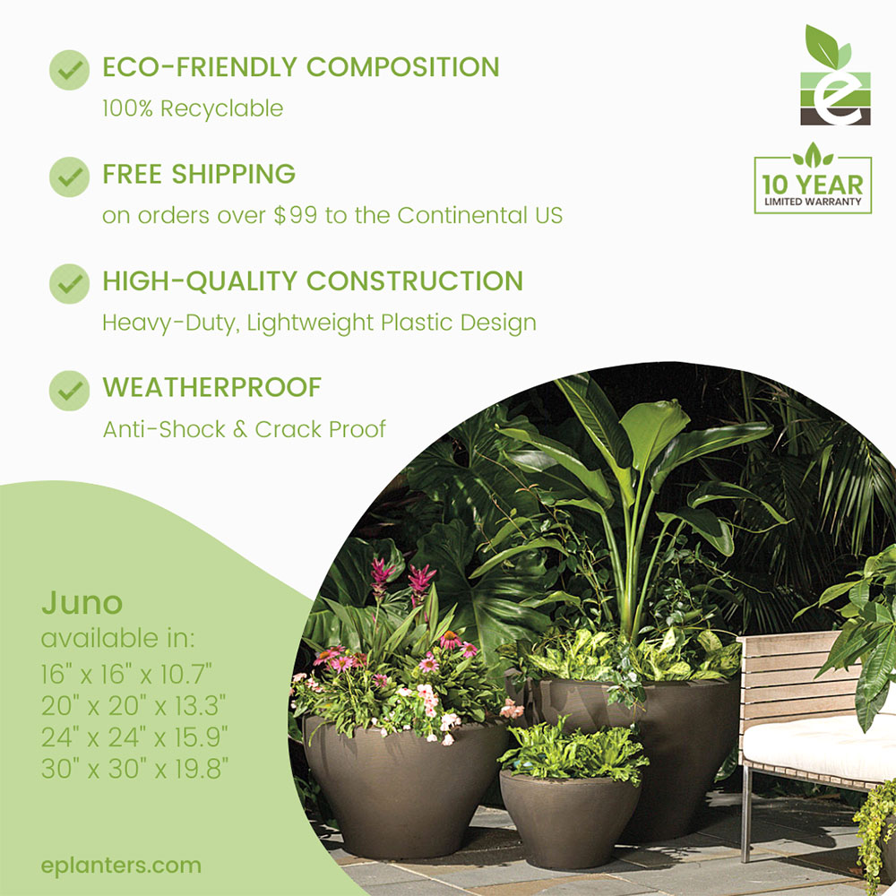 With its curved tapered profile, the Juno Planter gets elevated beyond the ordinary round planter. 🌱 #planters

Shop here: bit.ly/3wruFtO