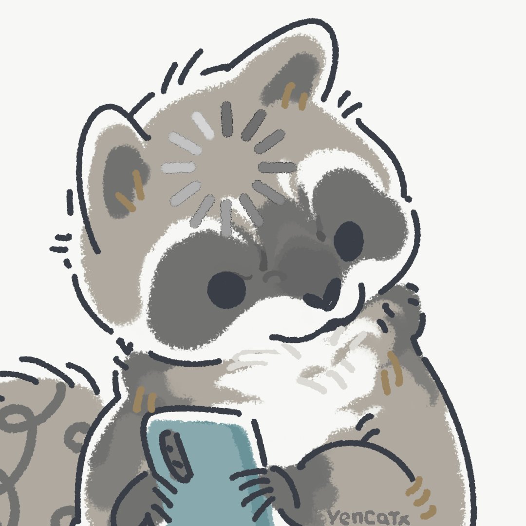 Yencatx Racoon