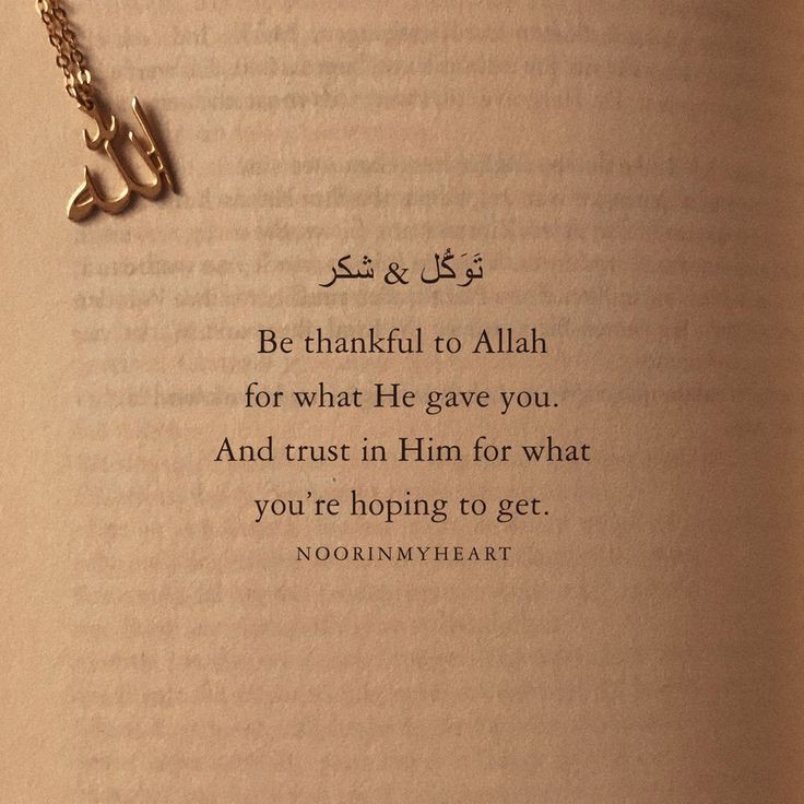 Amiliaisme🐾アミリア tweet media