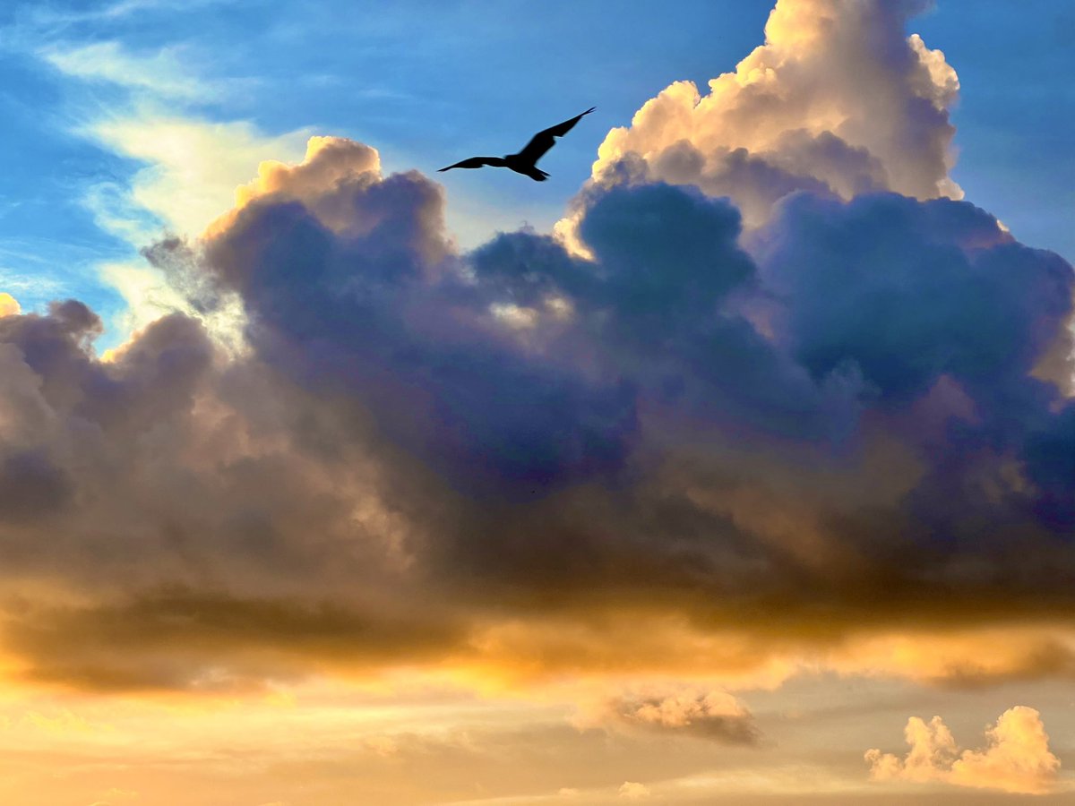 chris_is_agile's tweet image. Sustainable Pace takes effort!