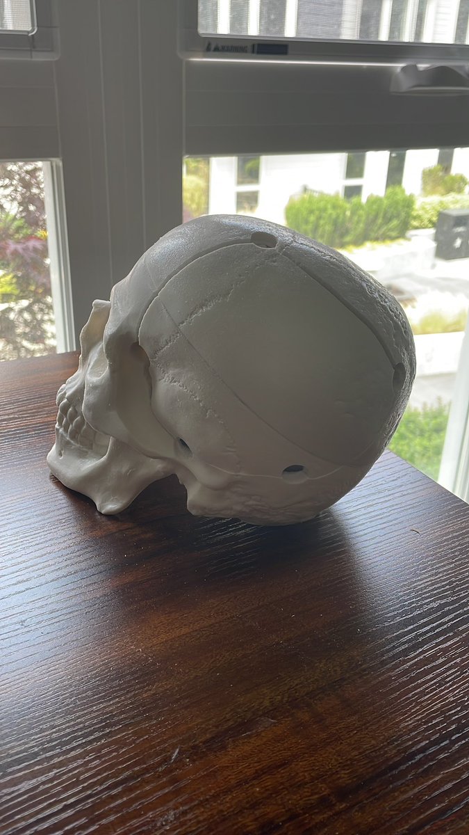 Barry Cheaney II (@barrycheaneymd) on Twitter photo Early hands-on practice thanks to <a href="/OHSUBrain/">OHSU Brain Institute</a> <a href="/SNS_Neurosurg/">Society of Neurological Surgeons</a> #neurosurgery #internbootcamp Early hands-on practice thanks to <a href="/OHSUBrain/">OHSU Brain Institute</a> <a href="/SNS_Neurosurg/">Society of Neurological Surgeons</a> #neurosurgery #internbootcamp