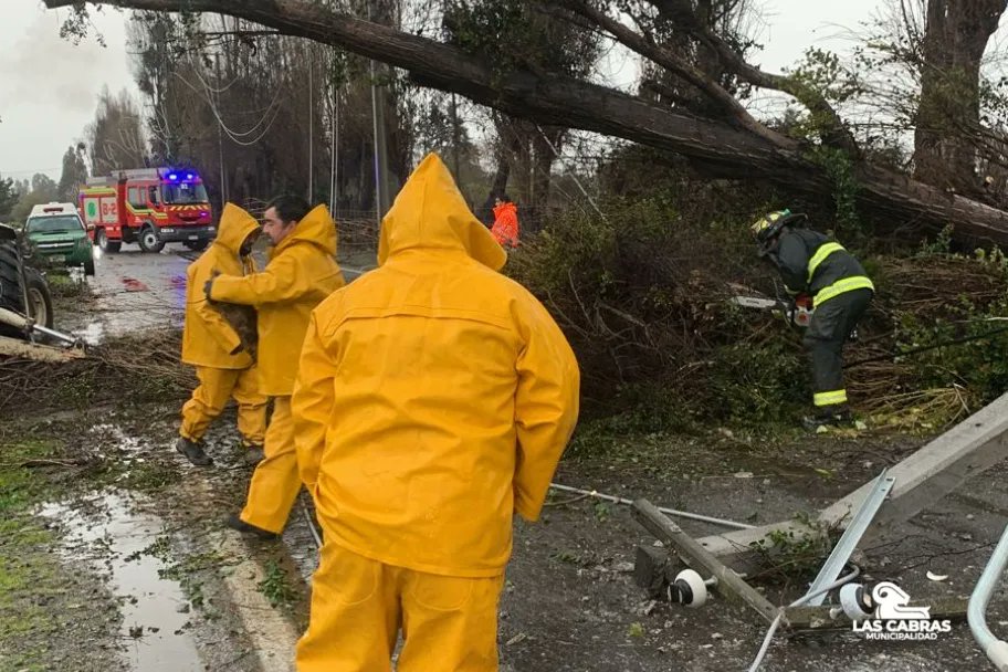 MuniLasCabras_'s tweet photo. Cuadrillas municipales en terreno desplegados a disposición de la comunidad 24/7.  Trabajando en conjunto con las distintas instituciones en las emergencias que aquejan a la comuna.

N° emergencia" ±56958151590

#LasCabras #CuadrillasEnTerreno #Emergencias #Meganoticias https://t.co/y4fdmGbsOh
