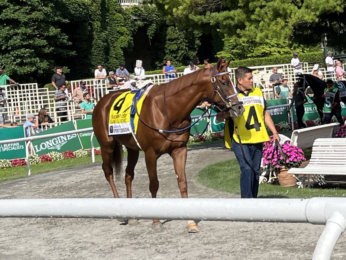 cb_deluca's tweet photo. .@Andrew_DeLuca07 and I made our return to the races at Belmont Park today and enjoyed a surprise run-in with @triciawarrens! https://t.co/6RBheph1MD