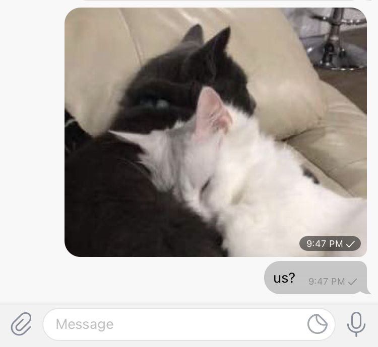 aikoblogs's tweet photo. mi novio &amp; mi novio ♡ upsi, lamentable situación que tuvo que llevar mi mimado ya que le jale de los pelos solo para usar el #𝟶𝟿𝟶𝟽·𝑐øde 🐛 obvio mi único #𝑐rush𖤐ꮯāk͟e es él y por la desvelada de ayer solo queremos un poco del #ꮯāndy·ꭲimë para activarnos como se debe. https://t.co/IUfYpJ2qRI