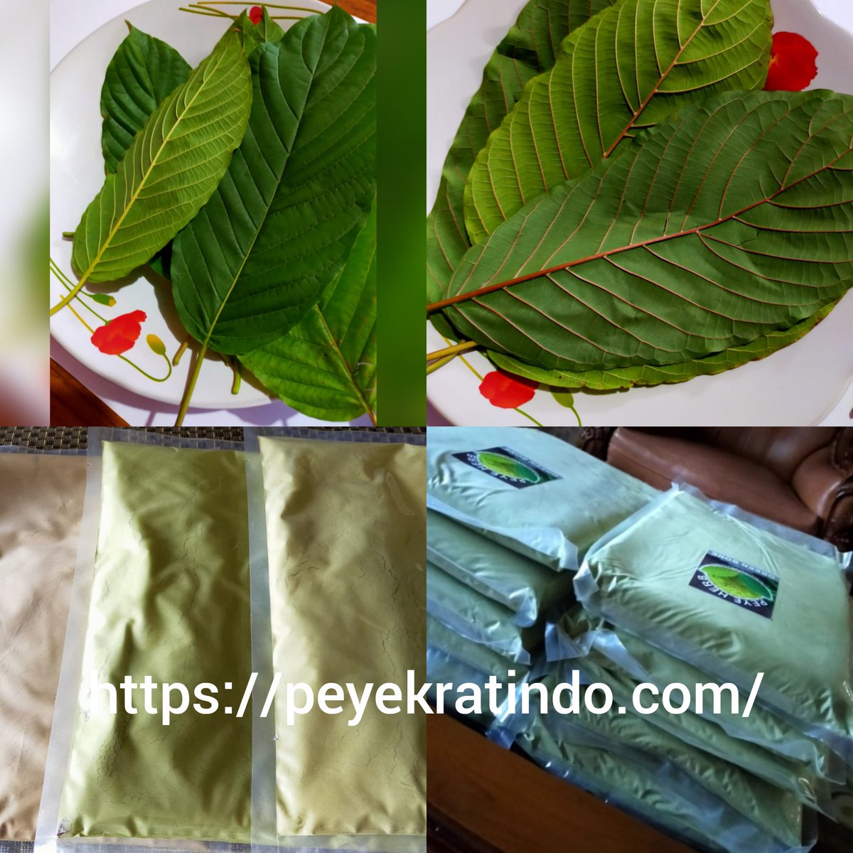 007Kratom's tweet photo. https://t.co/Rhq6wDElko https://t.co/EOmSJ0Un5j