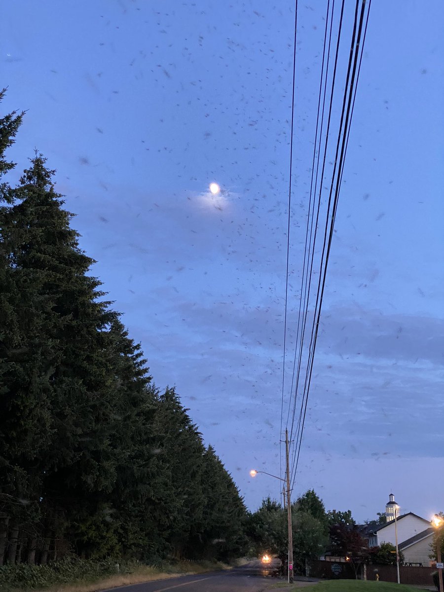 This cloud also has Managed Gnat Gateways