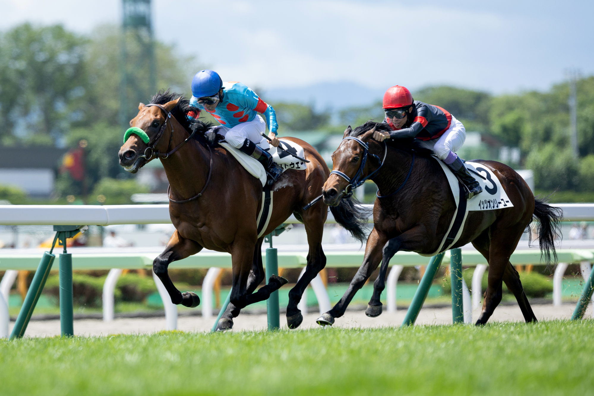 スイープトウショウの宝塚記念制覇 39年ぶり牝馬の勝利から20年