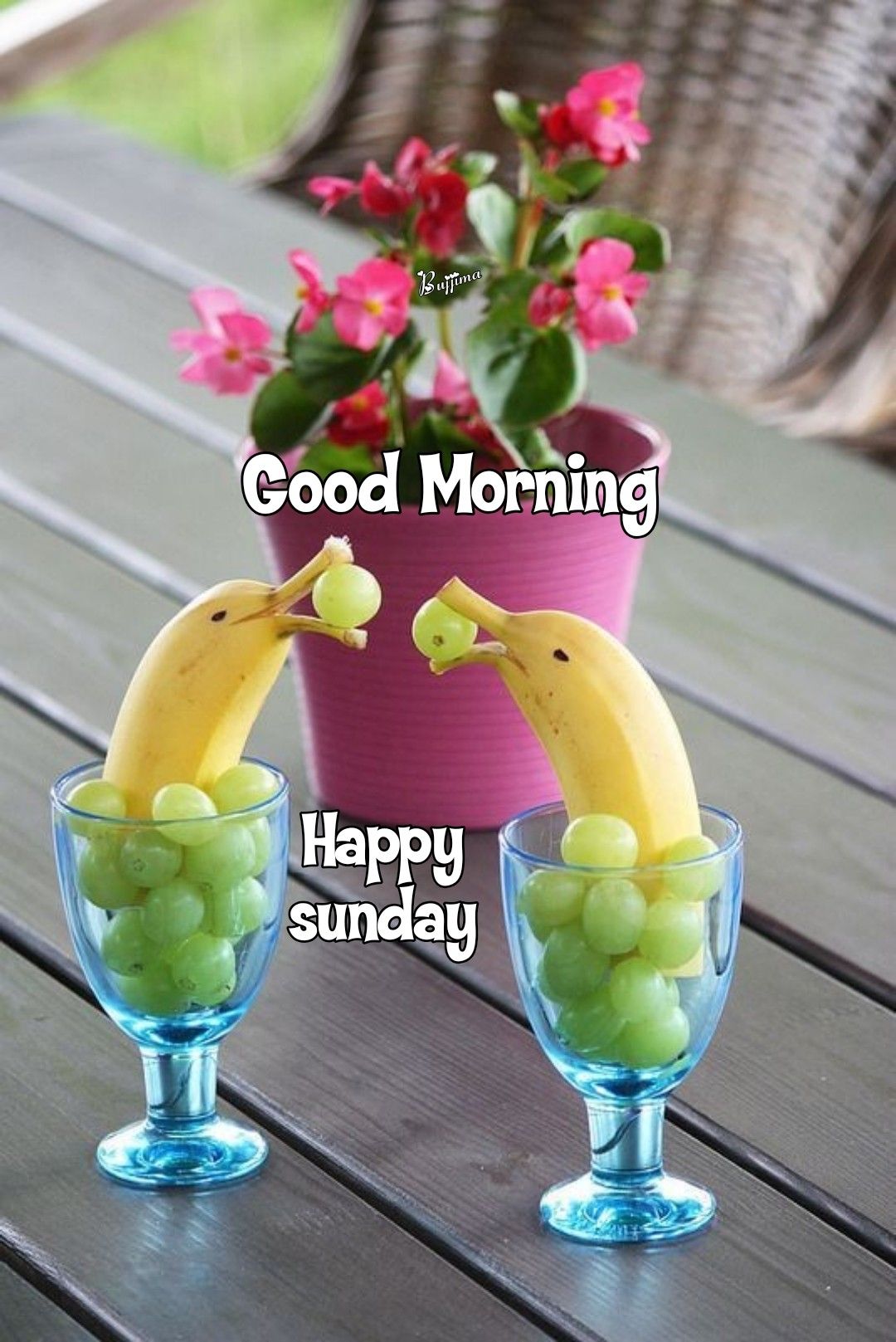 good morning friends have a wonderful sunday