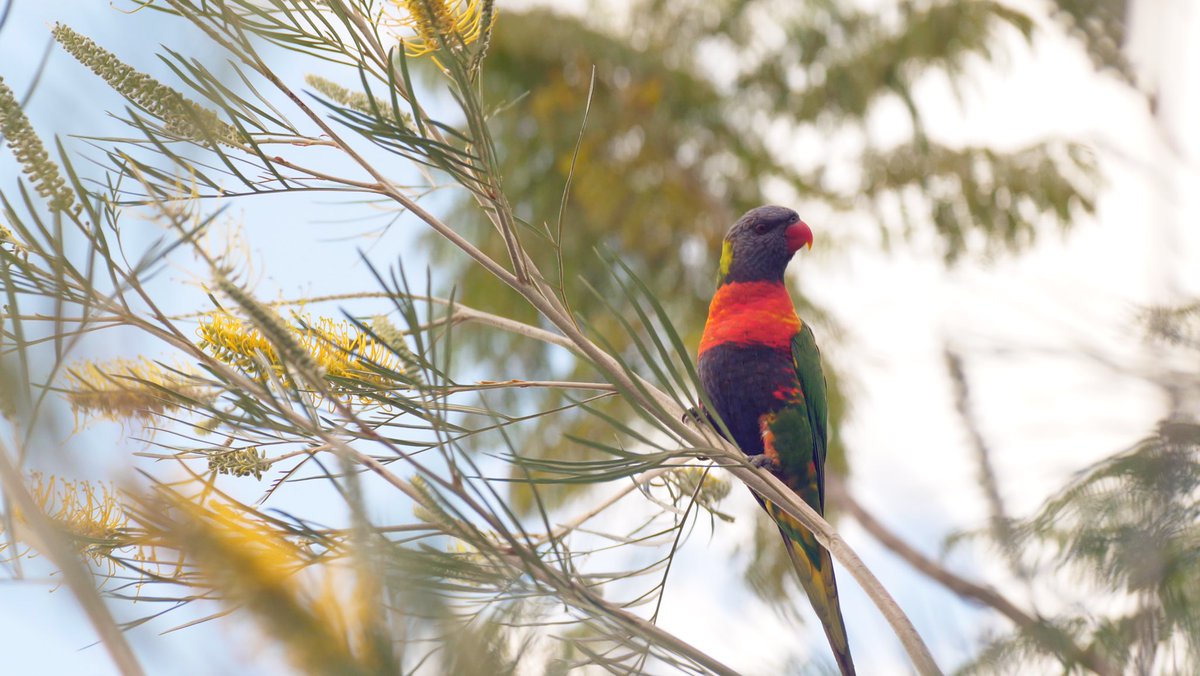 Handsome Hugh Whitehouse tweet media