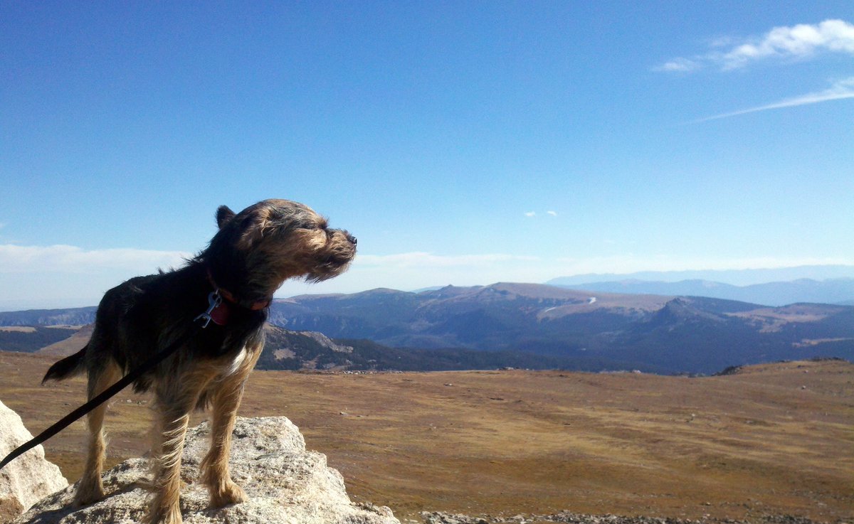 Alex Horwitz tweet media