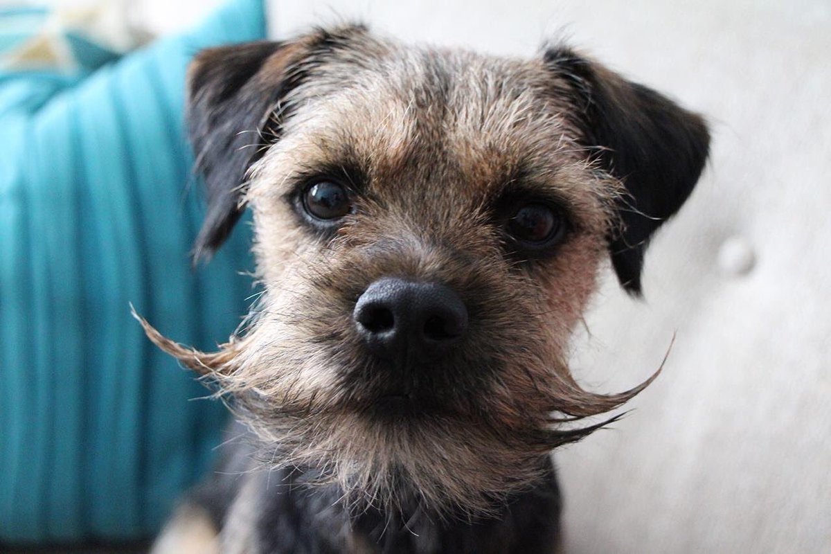 Alex Horwitz tweet media