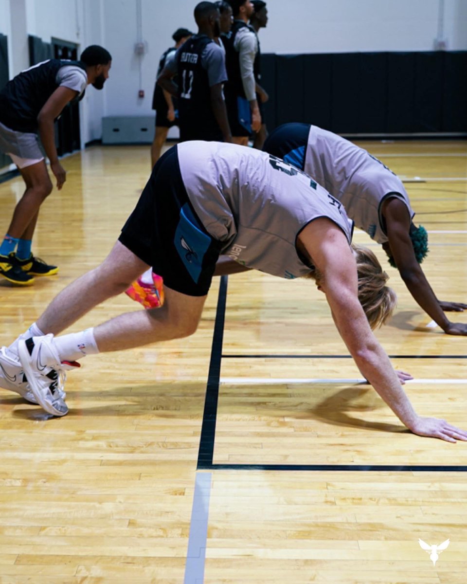 hornets's tweet photo. The desert grind. 🔥🌵

#NBASummer https://t.co/JYgzzN53FC
