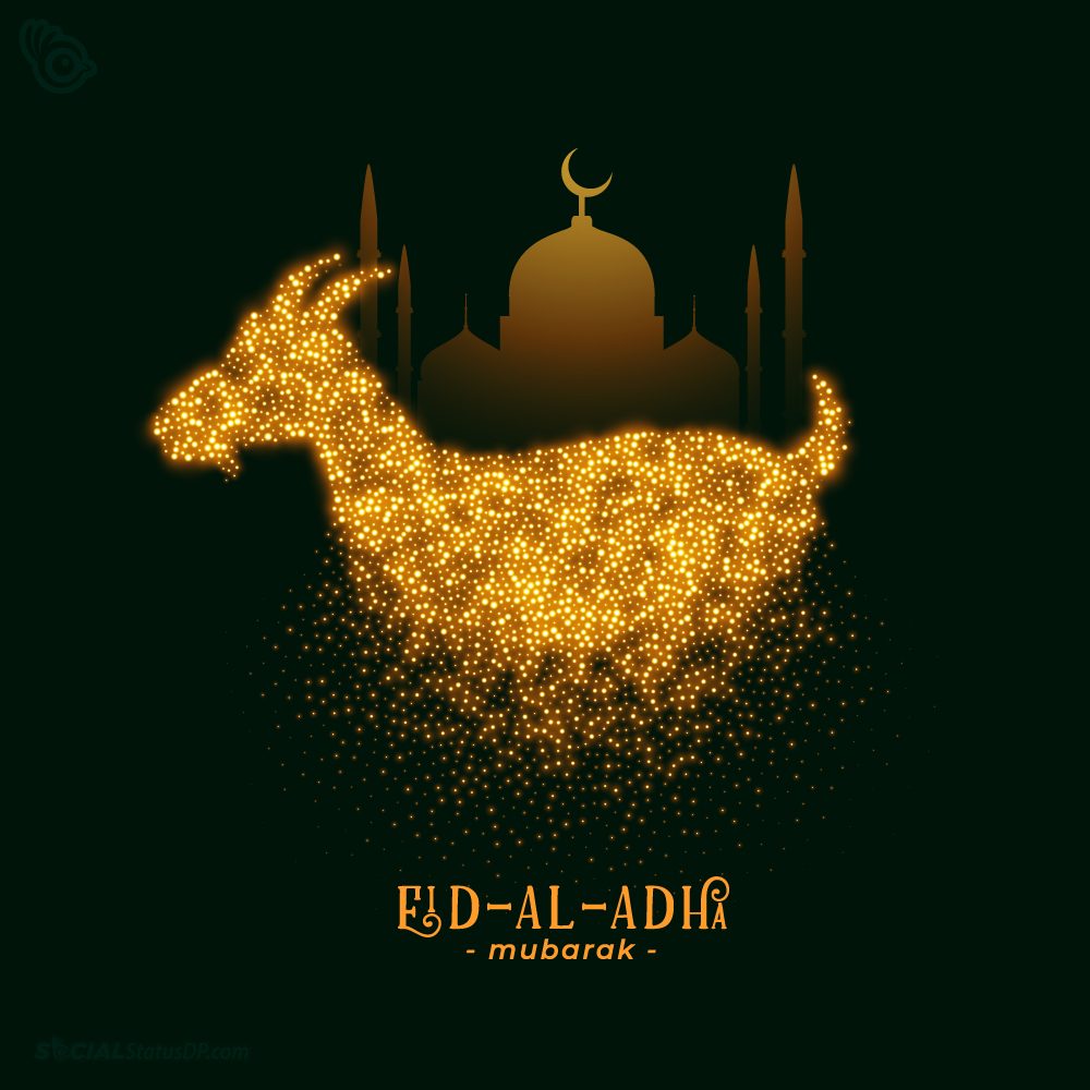 MZIhml's tweet photo. السلام علیکم و رحمتہ اللہ
آپ اور آپ کے اہل خانہ کو میری طرف سے عید الاضحٰی کی خوشیاں مبارک ہوں۔
اللہ پاک آج کے دن کے صدقے آپ کی عمر میں، رزق میں برکتیں عطا کرے اور ہمہ قسمی پریشانیوں اور مشکلات سے آپ کو بچائے رکھے۔ آمین
منجانب: محمد زاہد اقبال 
#عيد_الأضحى_المبارك_2022 https://t.co/PJ95VCSUep