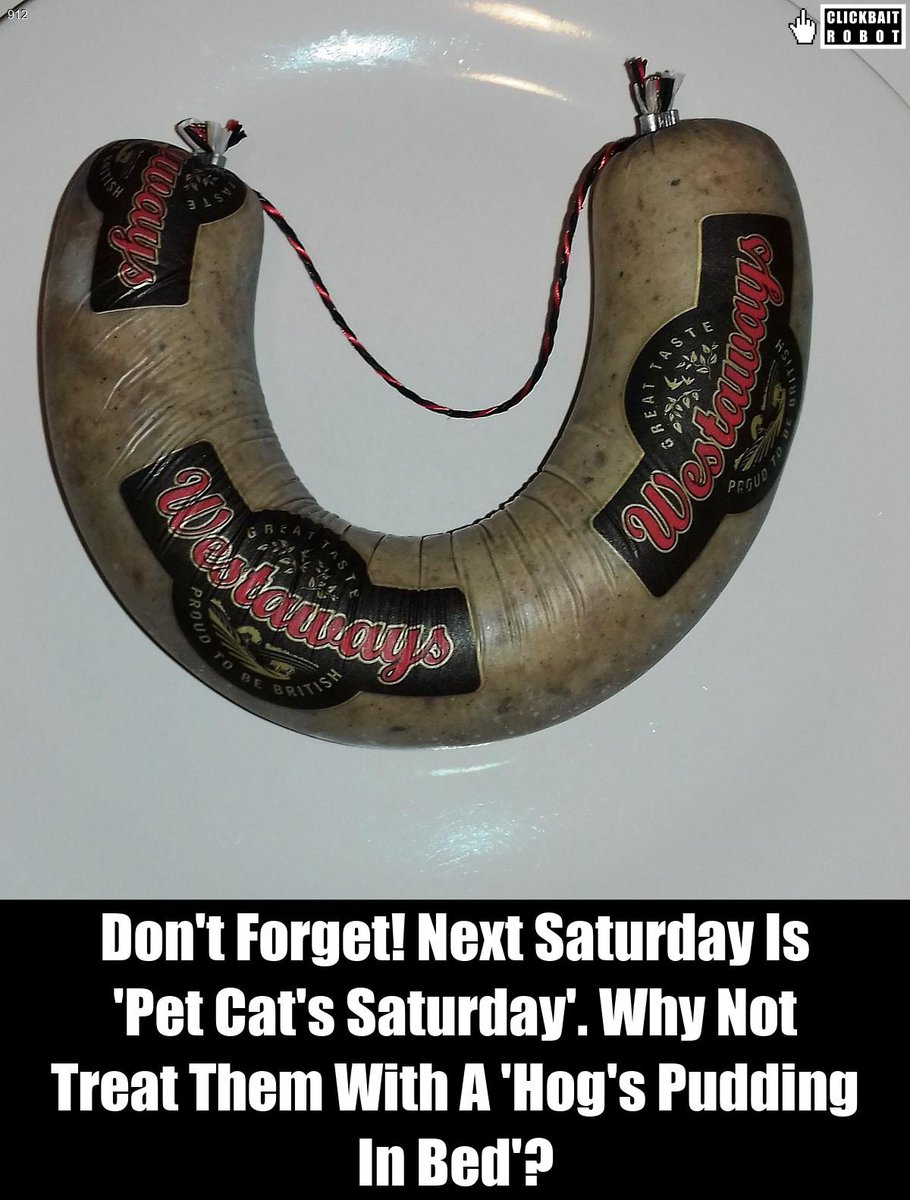 clickbaitrobot's tweet photo. Don't Forget! Next Saturday Is 'Pet Cat's Saturday'. Why Not Treat Them With A 'Hog's Pudding In Bed'? #HogsPudding https://t.co/hVIL5QDsyP