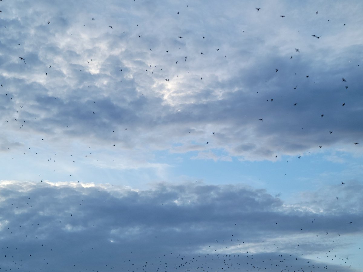 Human Nerve Ending tweet media