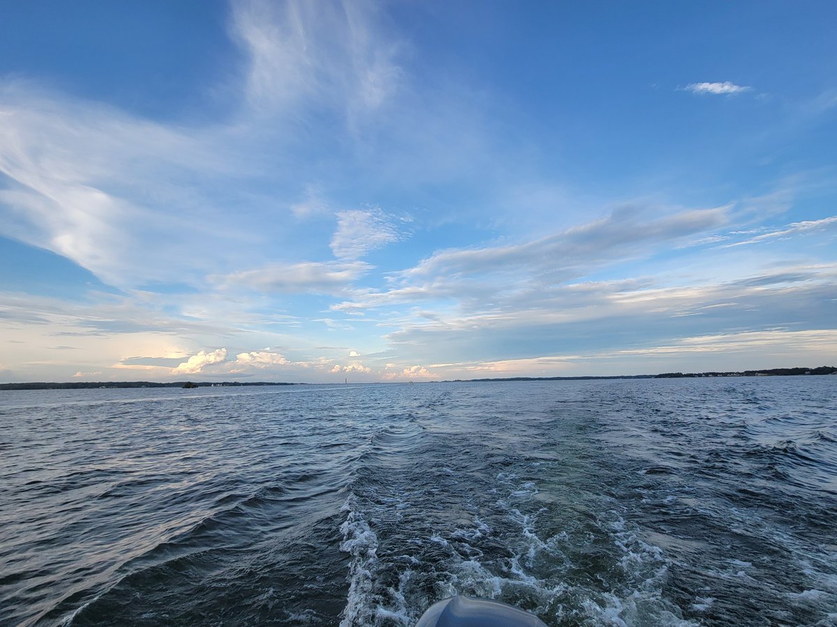 Human Nerve Ending tweet media