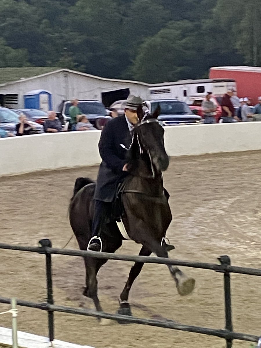 A little bit different than my normal horse stuff. Walkin’ Hoss tonight.