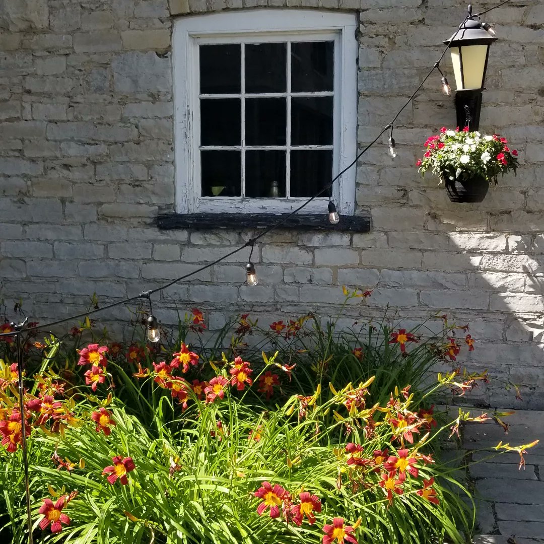 LimestoneTrio's tweet photo. We were amazed that we'd never played here before! What a lovely courtyard at the @DonaldGordonCtr @queensu. 🌳🌸 Our couple couldn't have asked for a better day. Congratulations Iain and Viviane! 🎉🥂💐

#WeddingMusic #LiveMusic #LiveStrings #StringTrio #ygk #ygkMusic https://t.co/KEmzIP3WqY