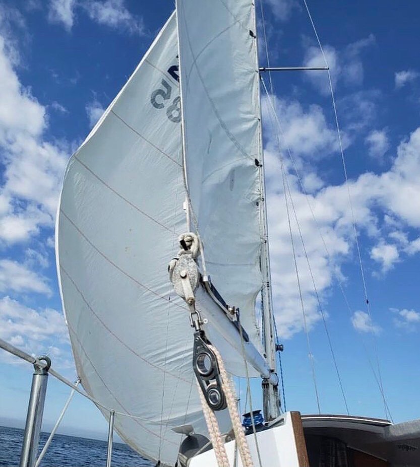 Isabella 🇺🇸 tweet media