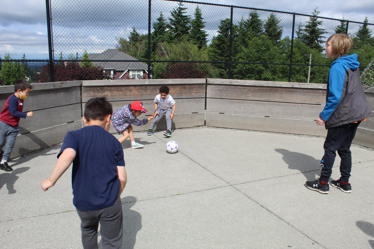 OWS Summer Program tweet media