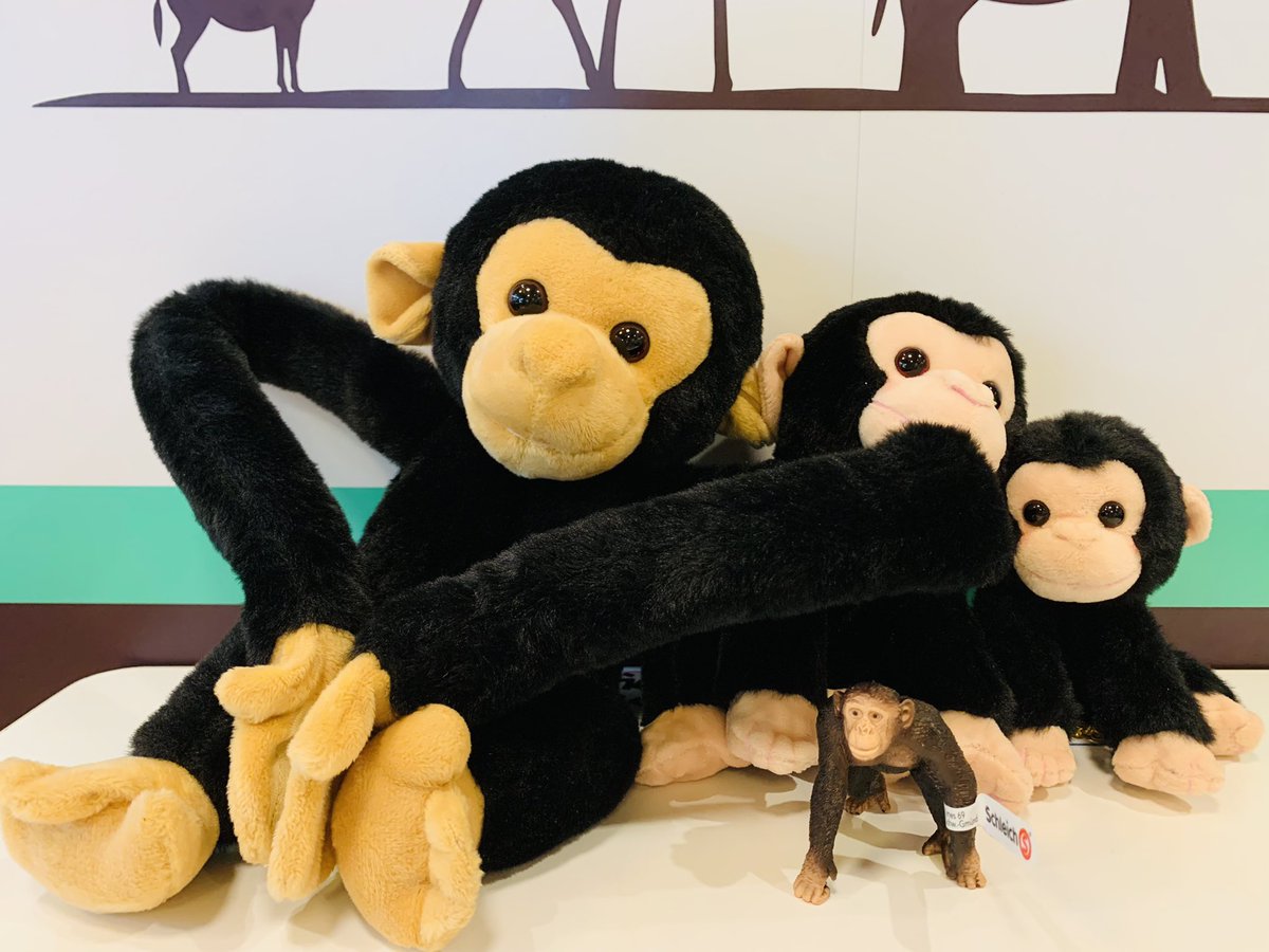 Tweets With Replies By ミライハウスショップ 京都市動物園東門店 Miraihouseshop Twitter Tweets With Replies By ミライハウスショップ 京都市動物園東門店 Miraihouseshop Twitter