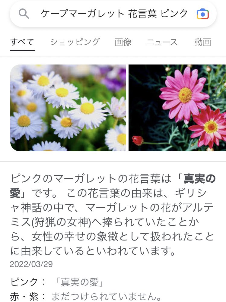 りおん のお花しか分からないけど花言葉がえもすぎて T Co Pvx8cofxex Twitter