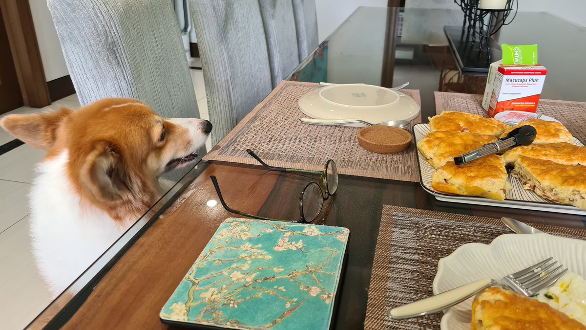 AmberTheCorgi's tweet photo. So if you baked 8 scones, and I get 4, and you four hoomans get one apiece, that's what we call a fair distribution, yes?

Hand them over. https://t.co/lqVoxQMcGN