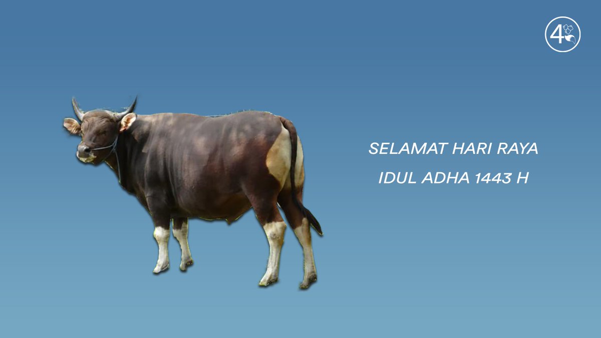 4RealityTeam's tweet photo. [CELEBRATION]
Idul Adha 1443H

Segenap Management, Staff, Admin, dan Talent dari 4Reality Team mengucapkan Selamat Hari Raya Idul Adha 1443H. 

Mohon maaf lahir dan batin.

#EidAlAdha #IdulAdha #4Reality #4RealityID #VTuberID #ENVTuber https://t.co/dEVrSw83yI