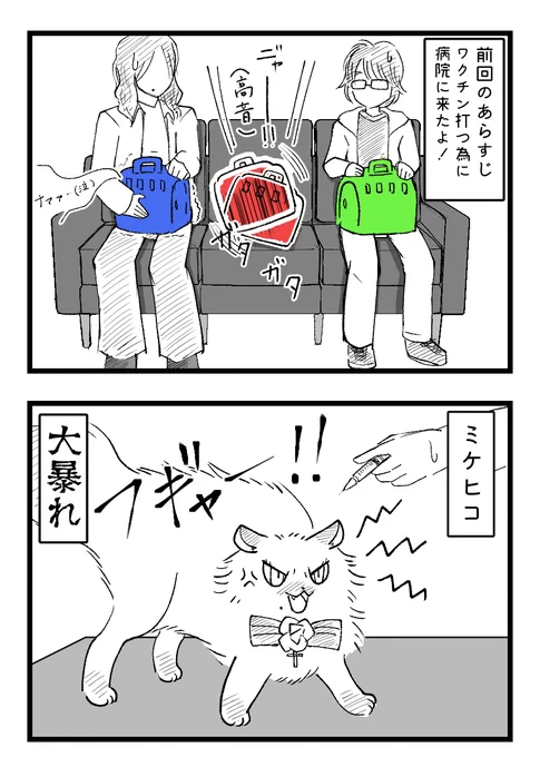 ついに病院に来たよ漫画。
次で病院編は終わる予定です!

ミケヒコは洗濯ネット入れようかと思ったけどやめました、王子にネットは似合わない← 