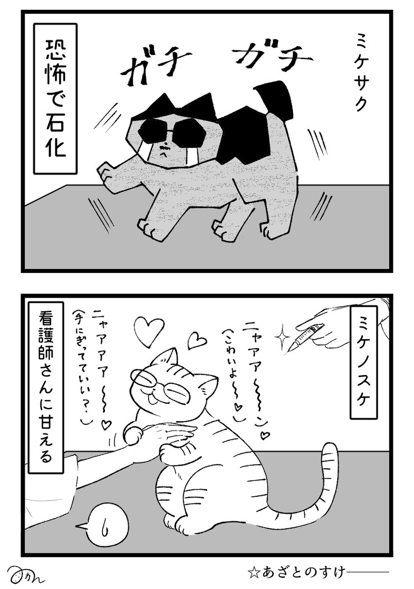 ついに病院に来たよ漫画。
次で病院編は終わる予定です!

ミケヒコは洗濯ネット入れようかと思ったけどやめました、王子にネットは似合わない← 