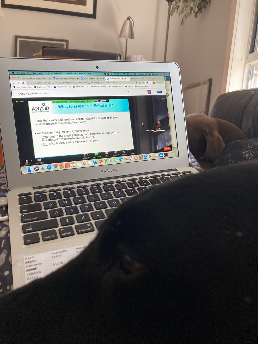 #anzup22 listen to PROMs great presentation <a href="/hagsie/">Prof. Haryana Dhillon</a>