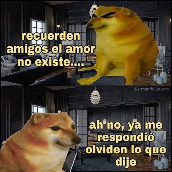 El Guarromántico (@guarromantico_) on Twitter photo 