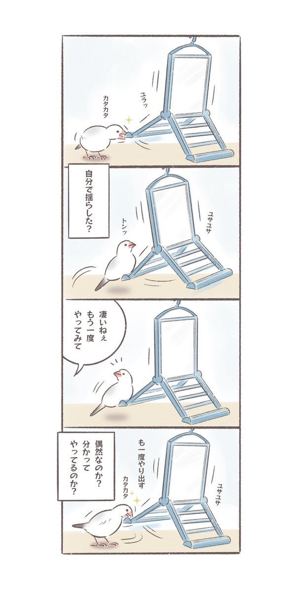1号がユサユサと揺すってからブランコに乗ったように見えたので「もう一度やって」とお願いしたらやってみてくれた。偶然なのか?文鳥がどこまで理解しているのか気になる
#文鳥
#bunchoslife 