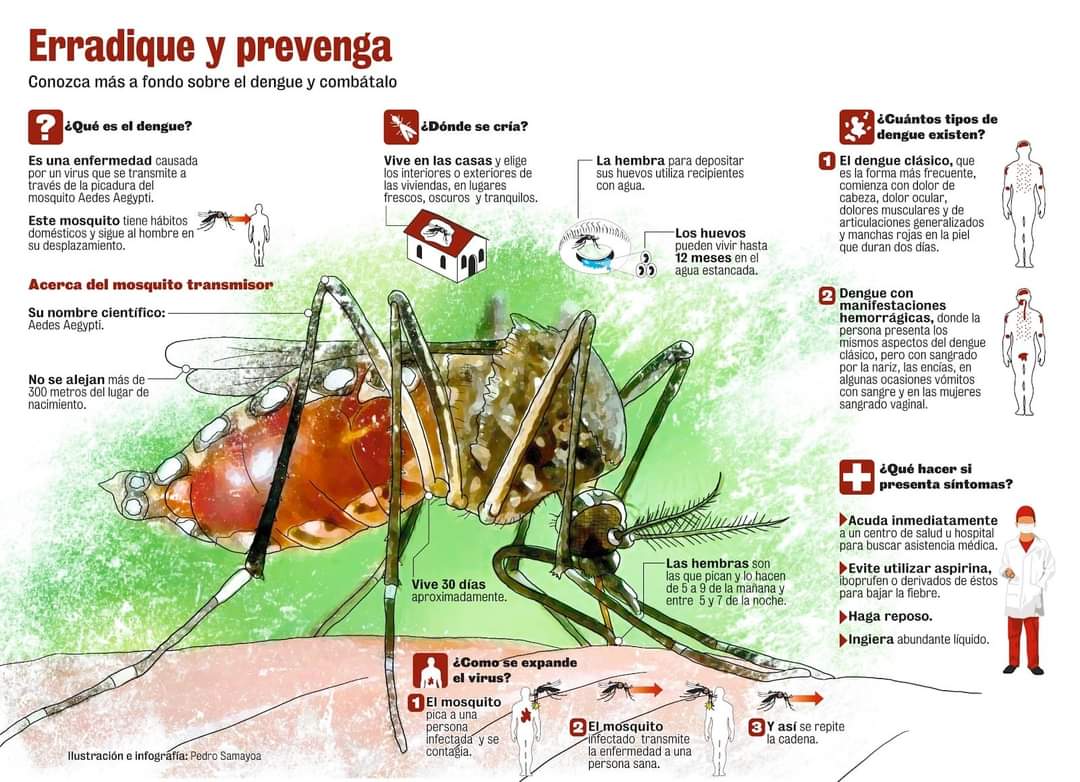 Por la salud de nuestra población
Eliminemos este vector 
Acuda al medico de familia o al cuerpo  de guardia de su área de atención si siente los sintomas descritos y cumpla con las orientaciones  medicas.<a href="/DmsPlaza/">DMS Plaza</a>,<a href="/EmilioDelgadoI/">Emilio Delgado Iznaga</a>,#VamosPorMas.