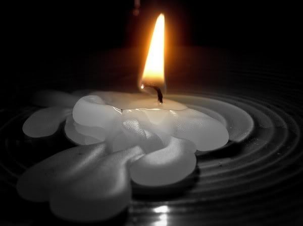 தலையில் வைத்த 
நெருப்பை கிரீடமென எண்ணி
ஏமாந்ததாம் #மெழுகுவத்தி..!!