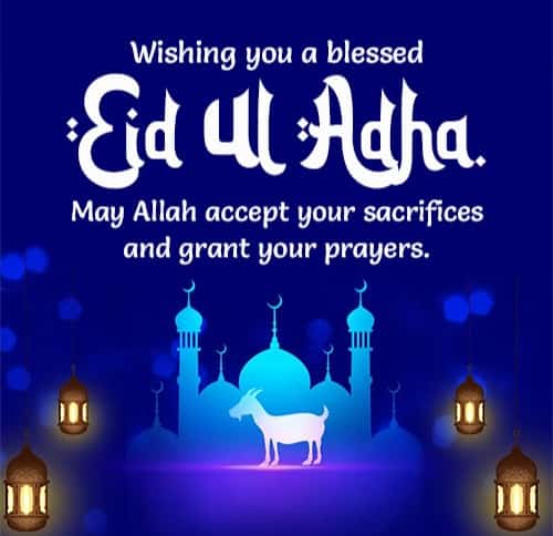 ImranSh80487883's tweet photo. Eid__ul__adha__ Mubarak ❣️🖤🐐 https://t.co/mvV1K9j8k4